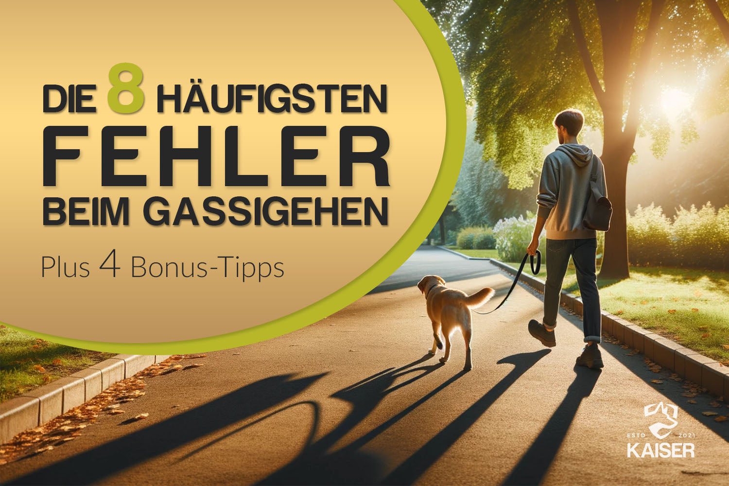 8 Fehler beim Gassigehen mit Hund