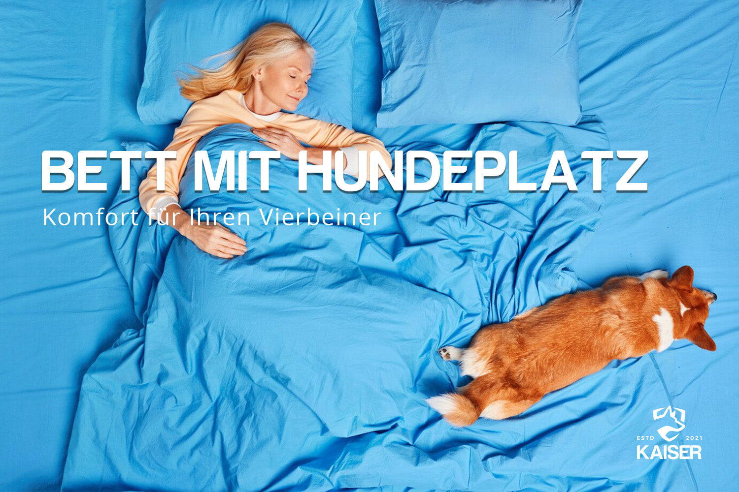 Bett mit Hundeplatz