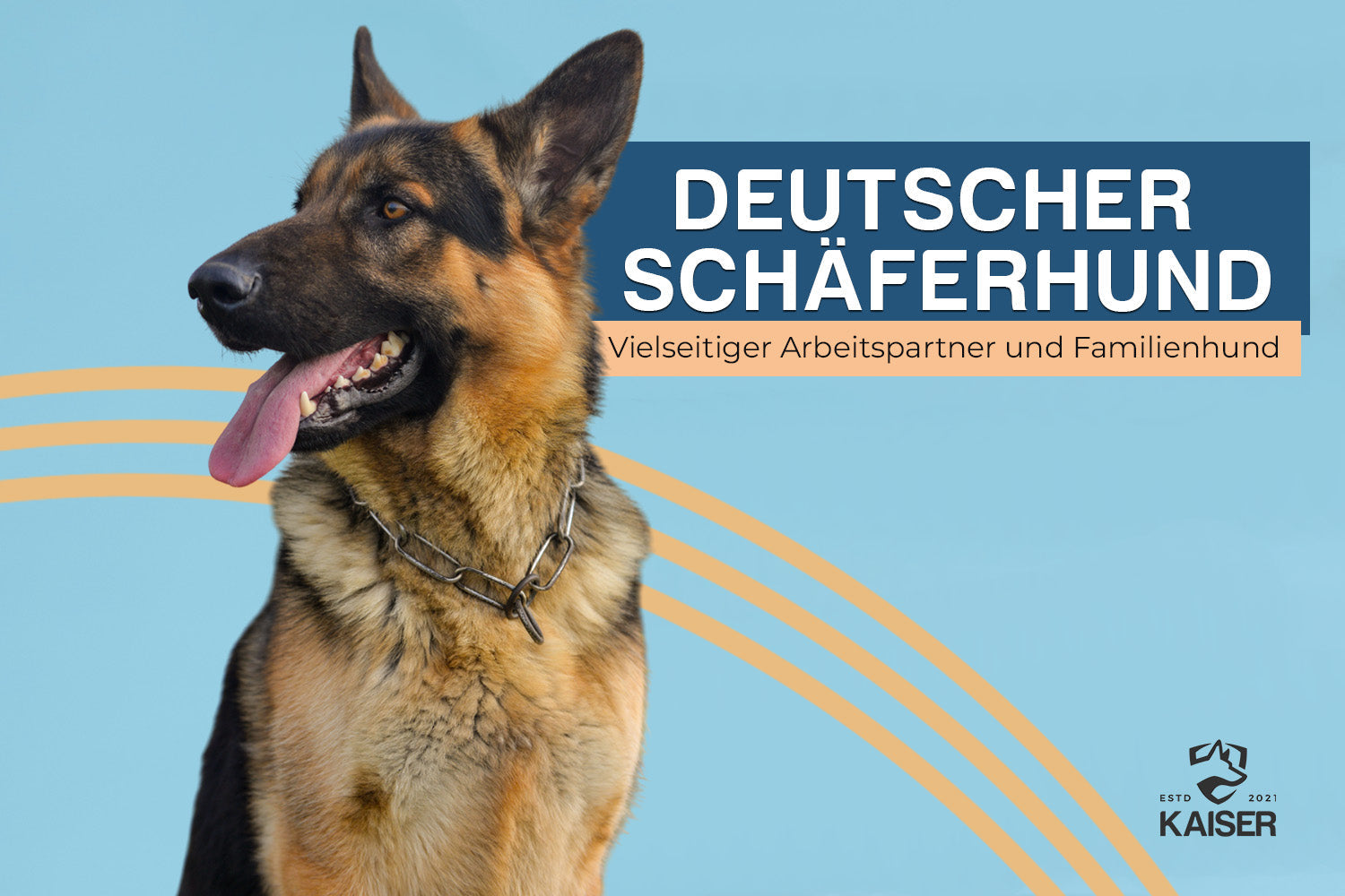 Deutscher Schäferhund