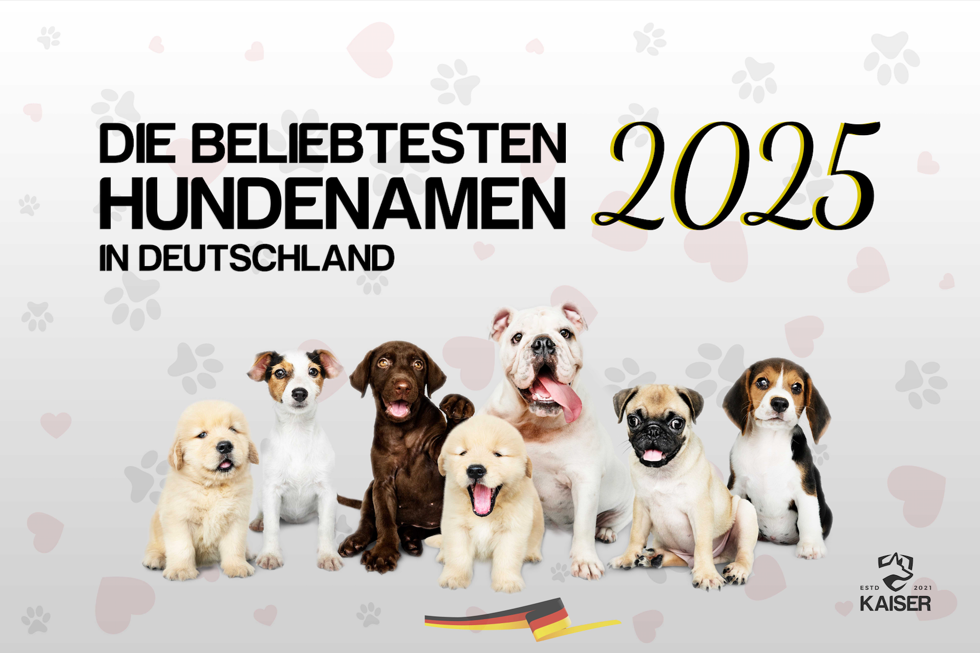Beliebte Hunde Namen in Deutschland im 2025