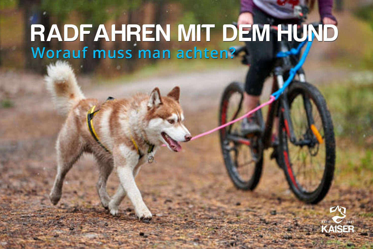 Fahrradfahren mit dem Hund
