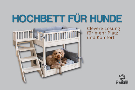 Hochbett für Hunde
