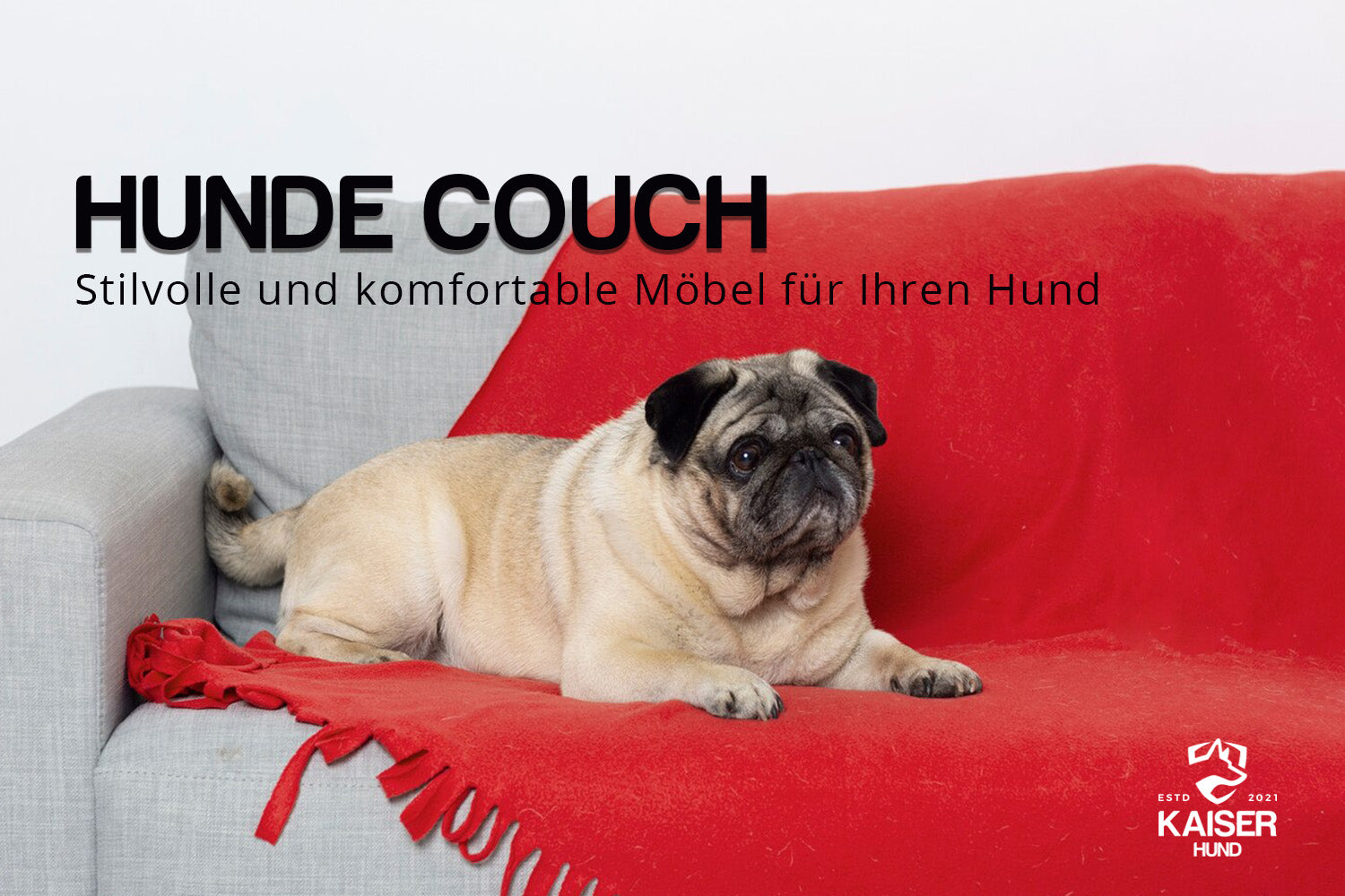 Hunde Couch