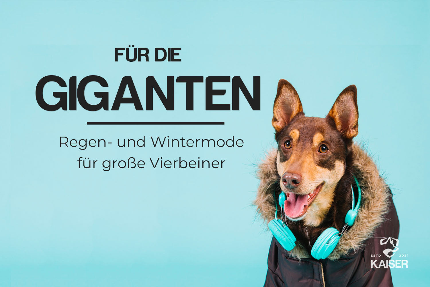 Hundebekleidung für große Hunde