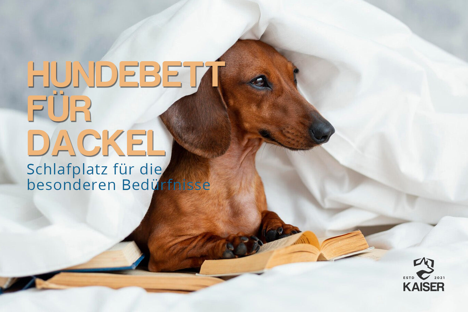 Hundebett Dackel
