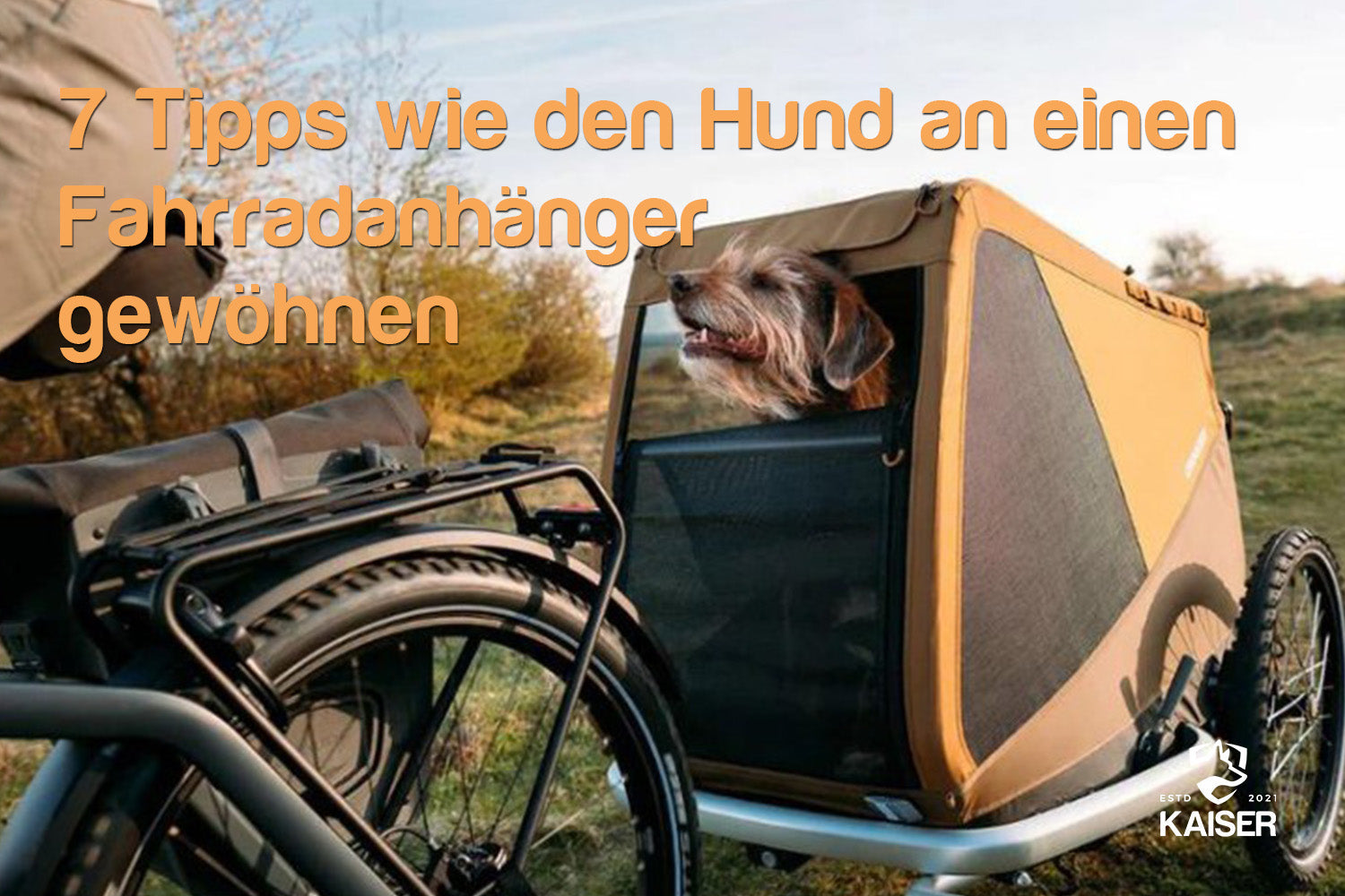Wie gewöhn ich meinen Hund an den Fahrradanhänger?