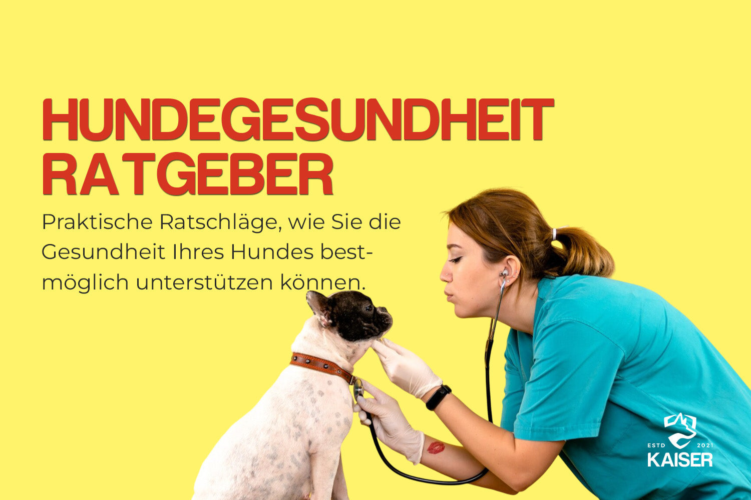 hunde gesundheit