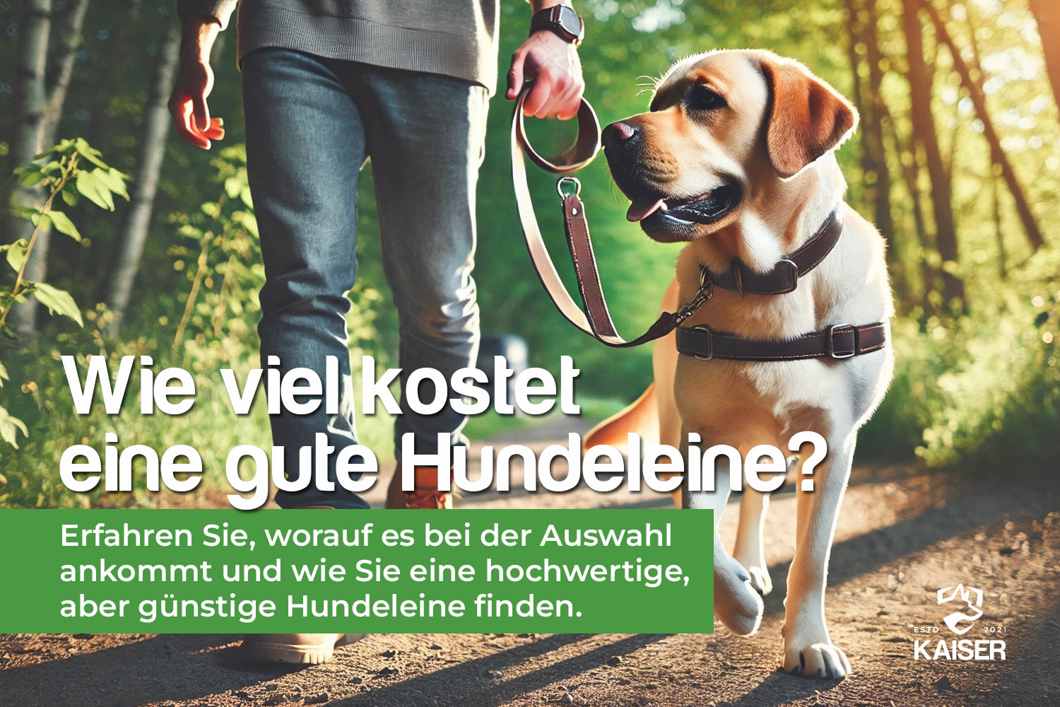 Hundeleinen kaufen - Worauf Sie achten sollten