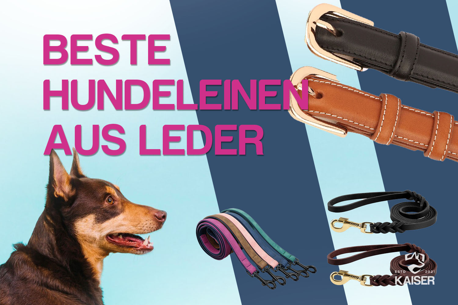 Hundeleine aus Leder