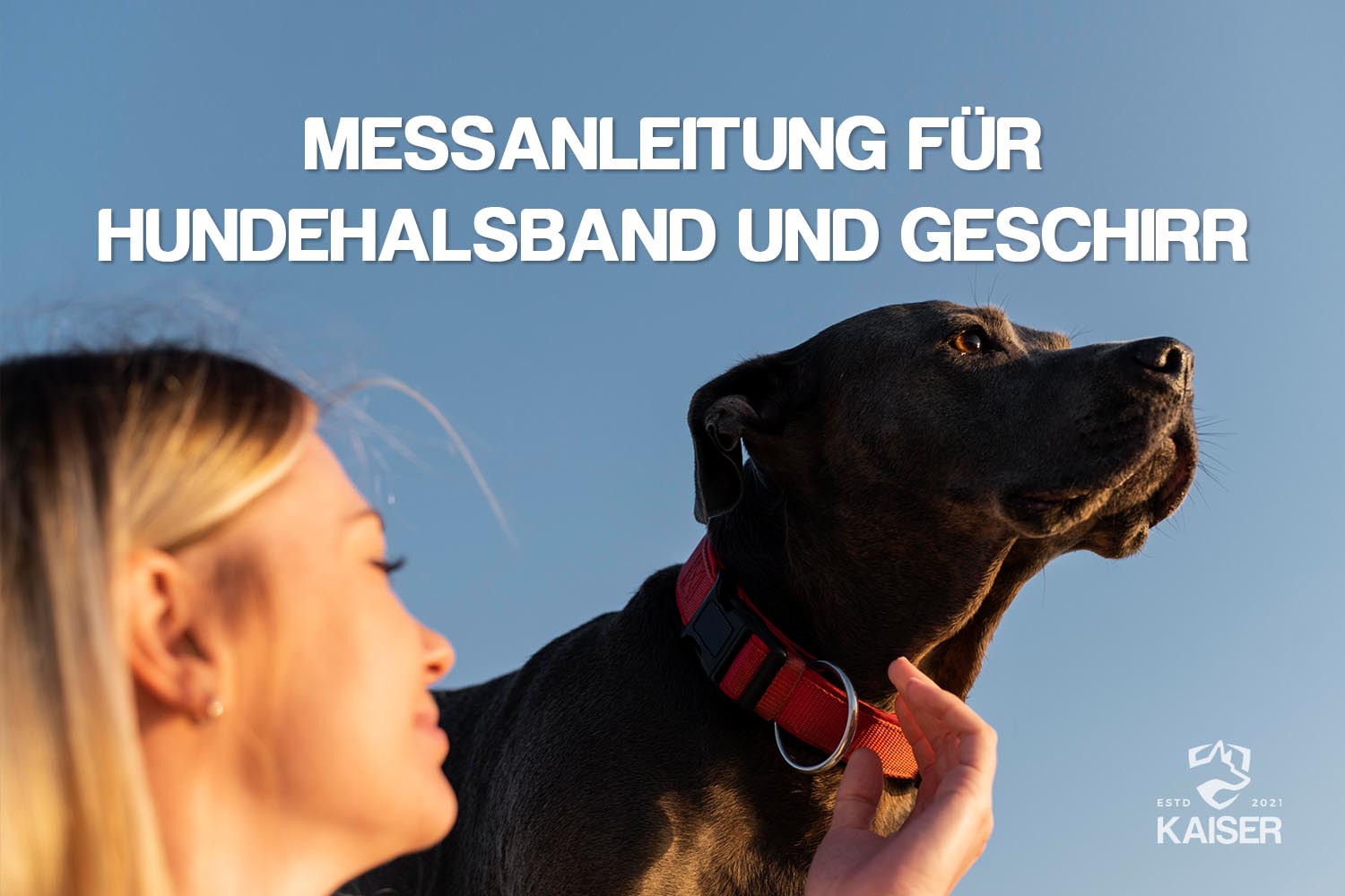 Messanleitung für Hundehalsband und Geschirr