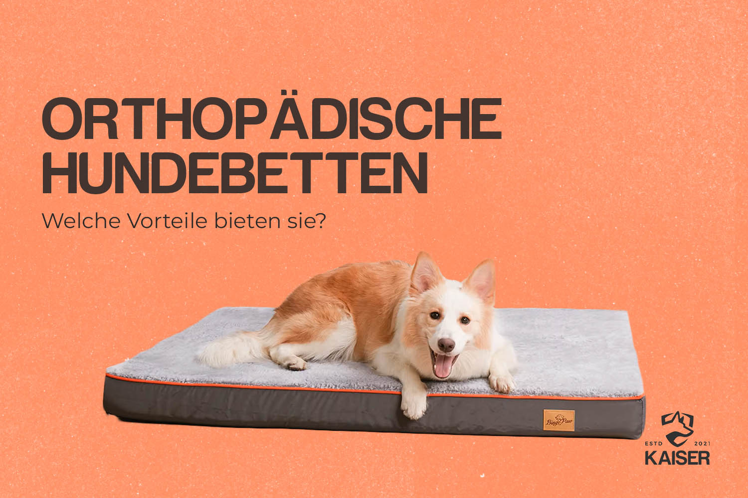 Hundebett orthopädisch
