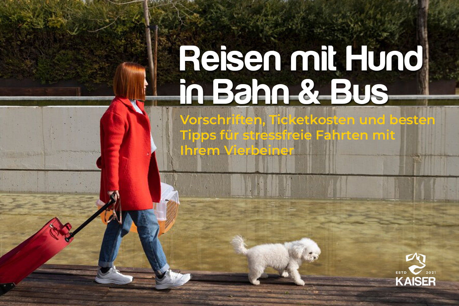 Reisen mit Hund