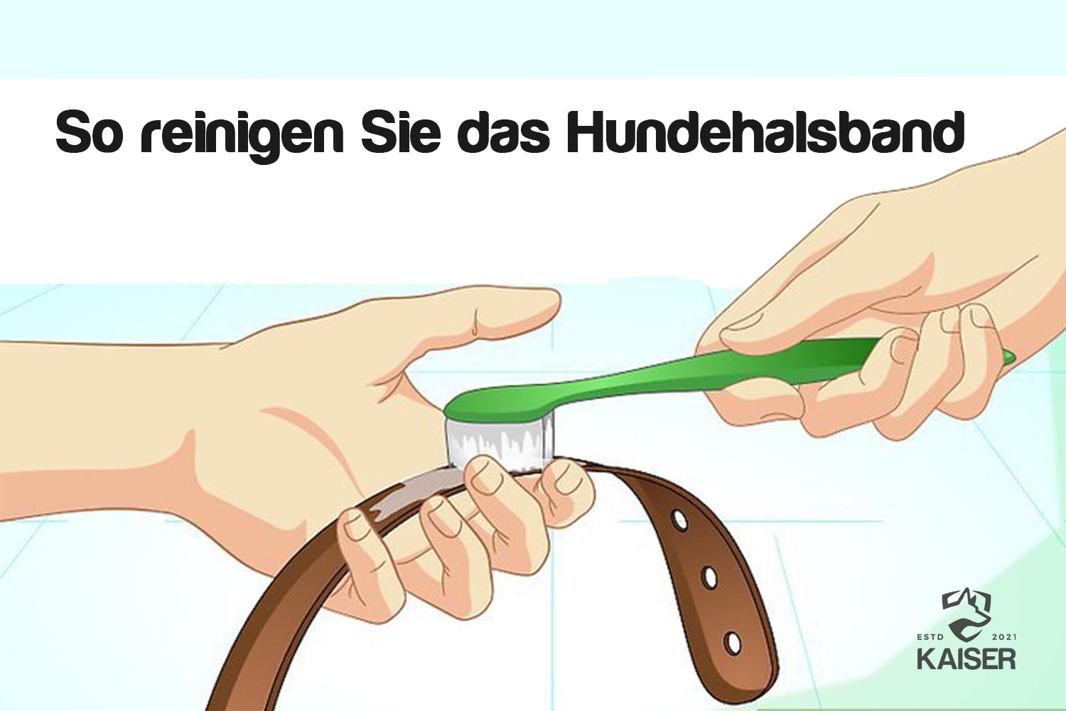 Hundehalsband reinigen