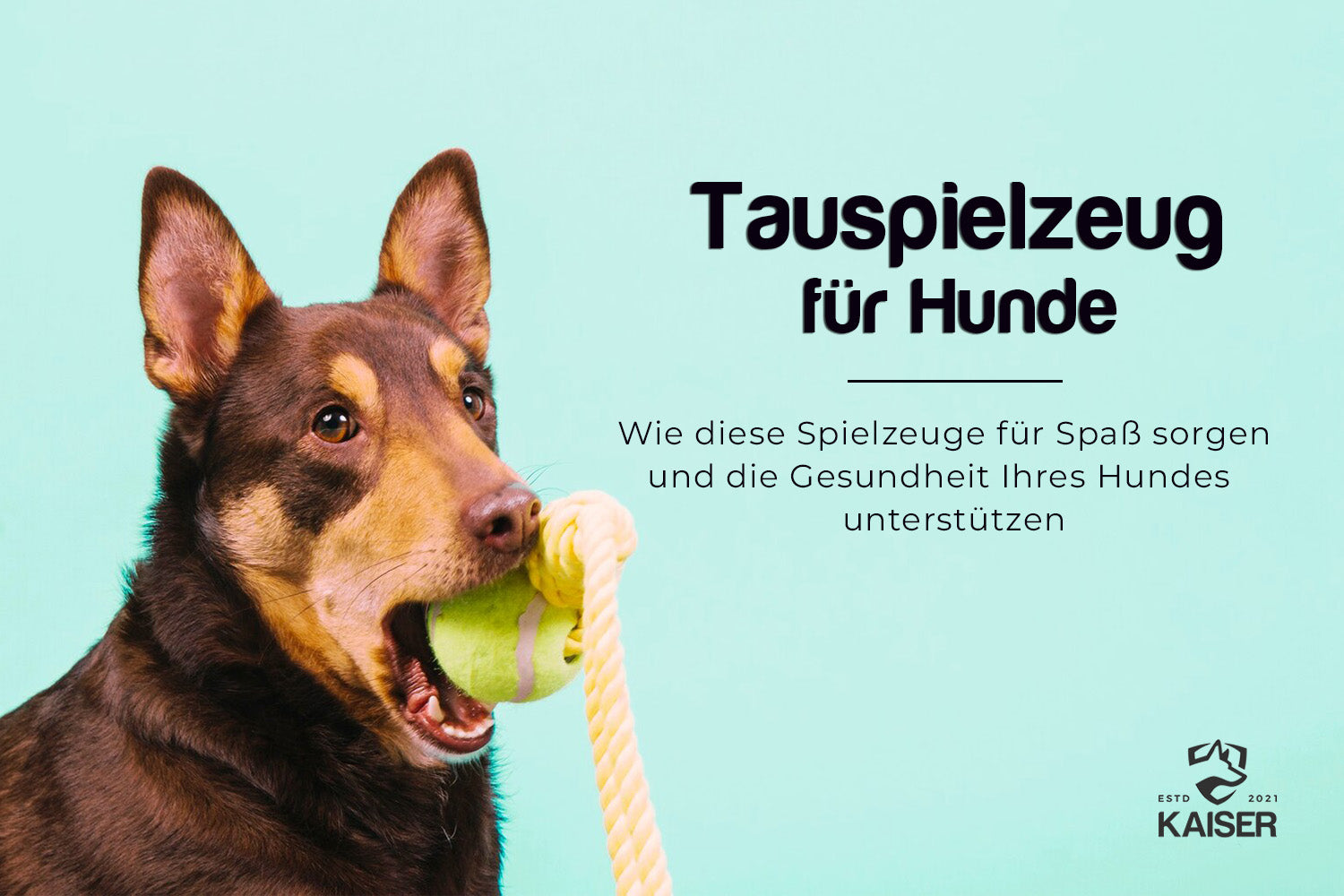 Hunde Spieltau