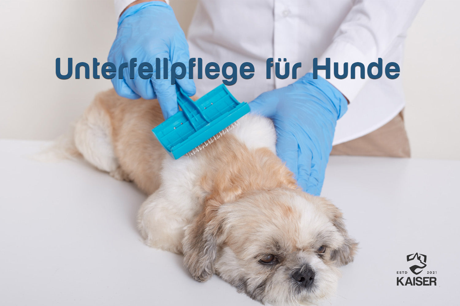Hunde Unterfellpflege
