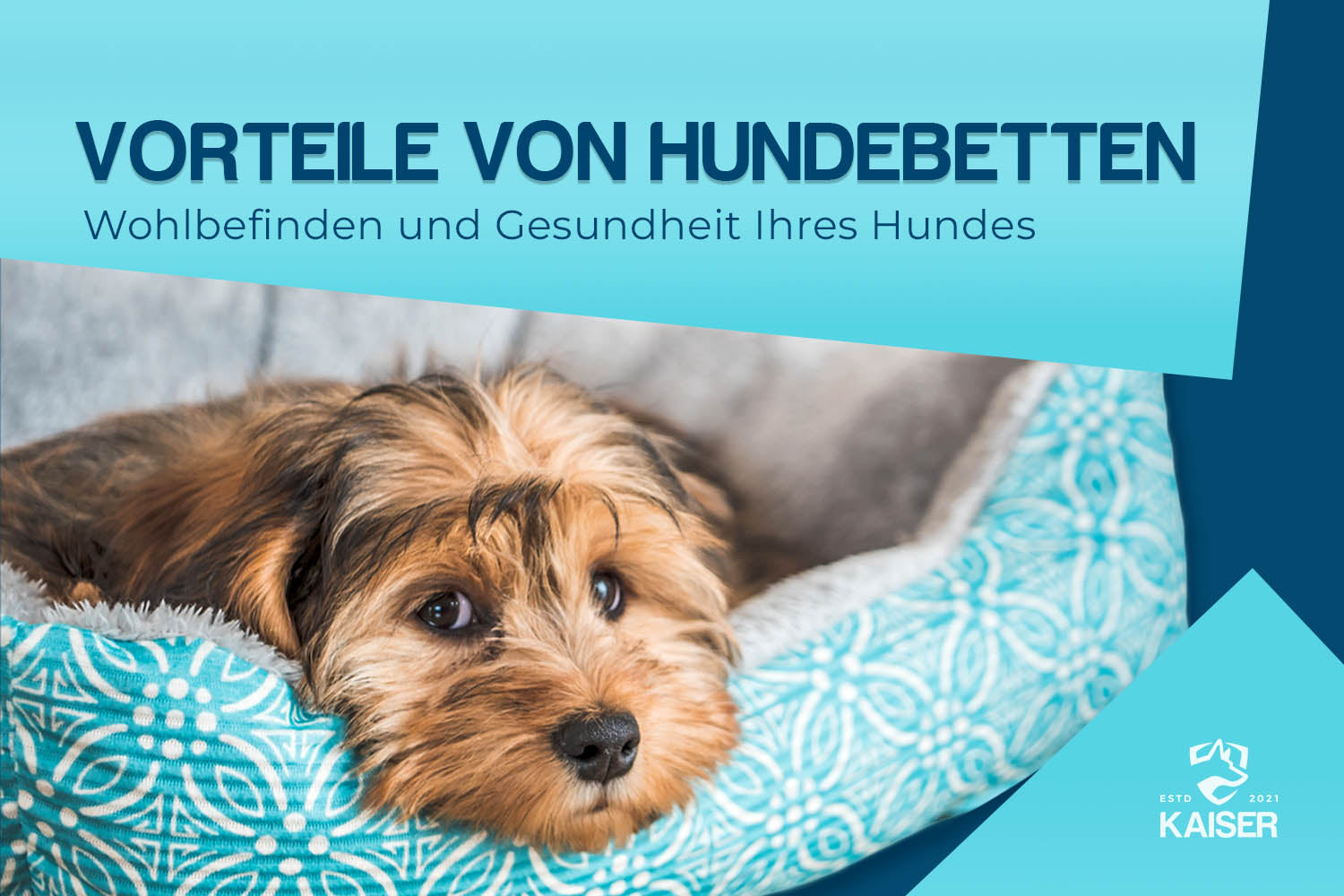Benefit von Hundebetten