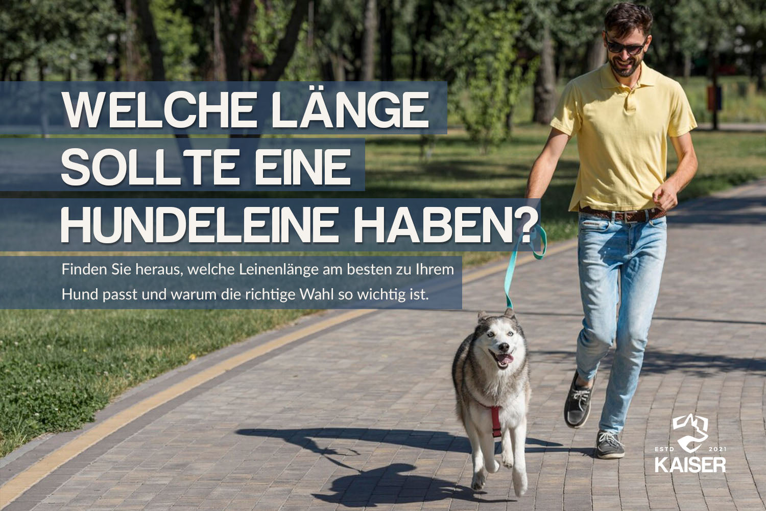 Welche Länge sollte eine Hundeleine haben