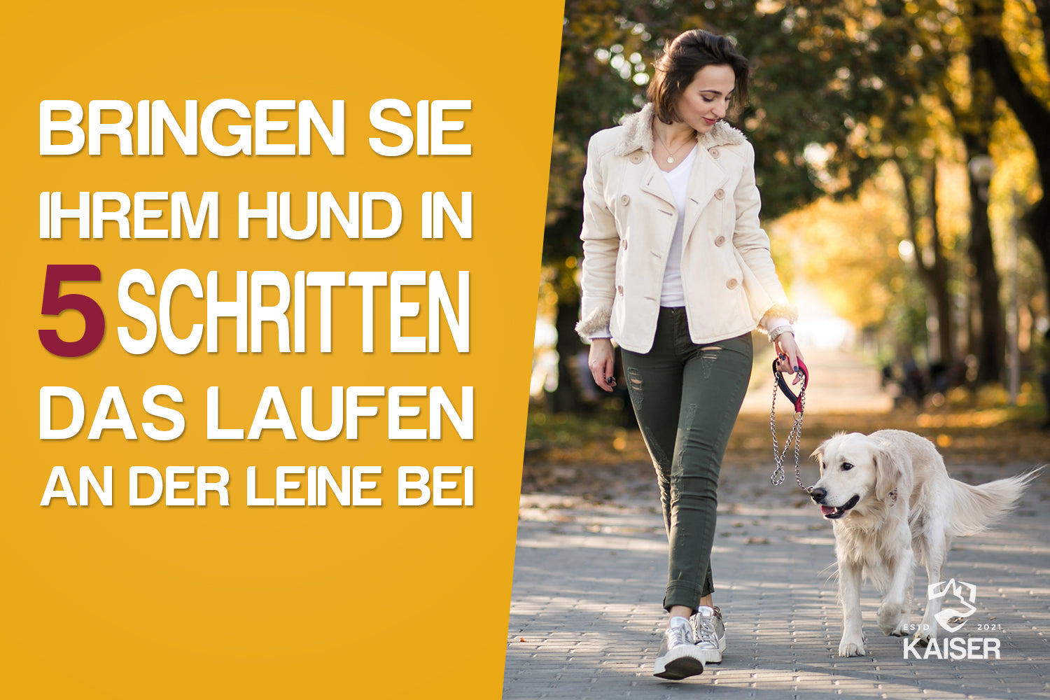 Hunde Leinenführigkeit