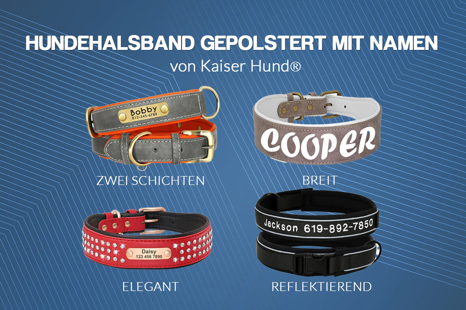 Gepolstertes Hundehalsband mit Namen