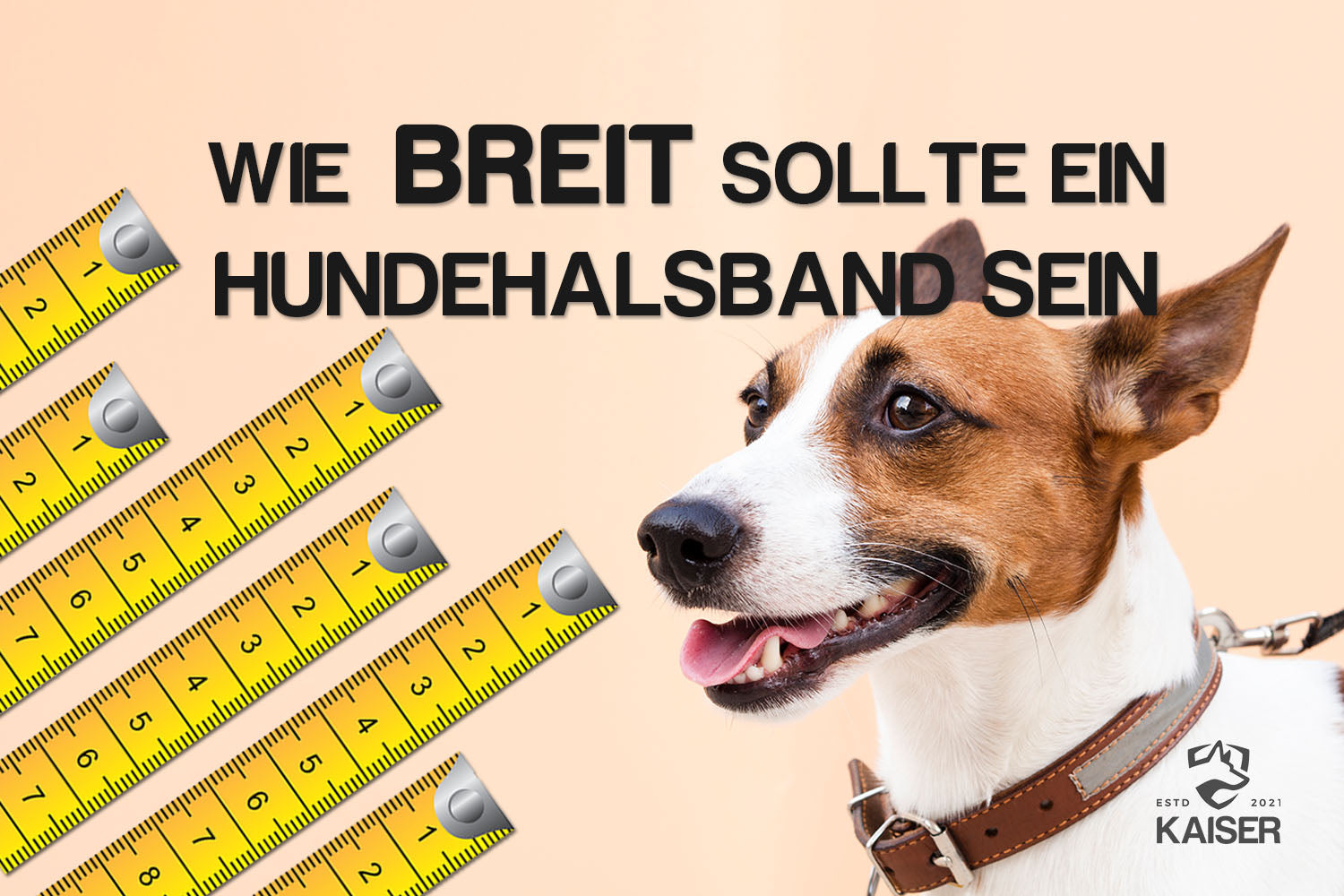 Hundehalsband wie breit