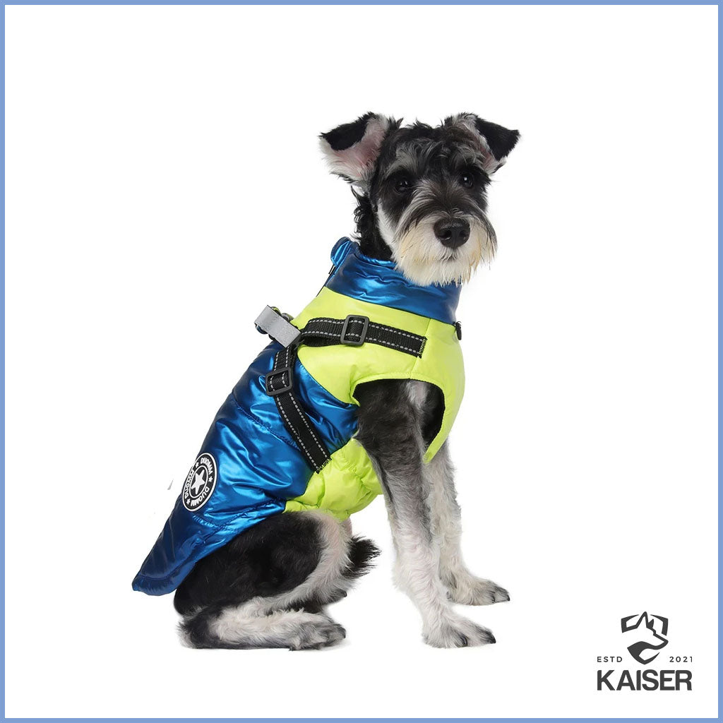 trockenfutter katze groe kroketten Perro Cat Premium Giant Trockenfutter groe Katzen