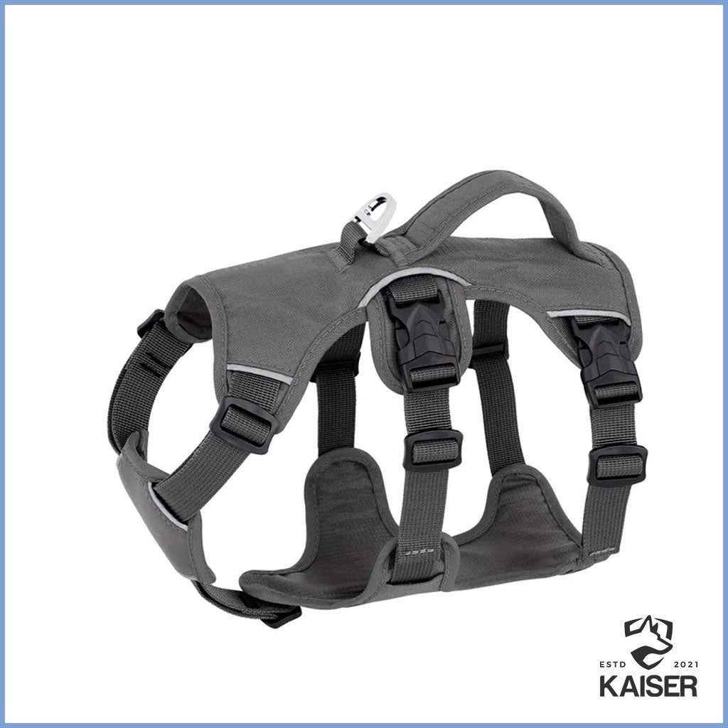 Hundegeschirr Anti Zug grau