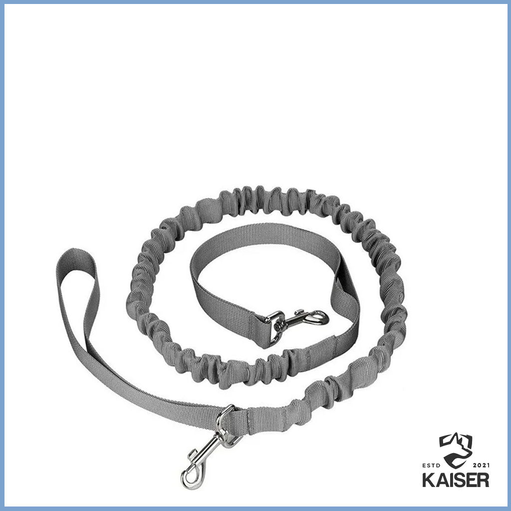 Bauchgurt Hundeleine