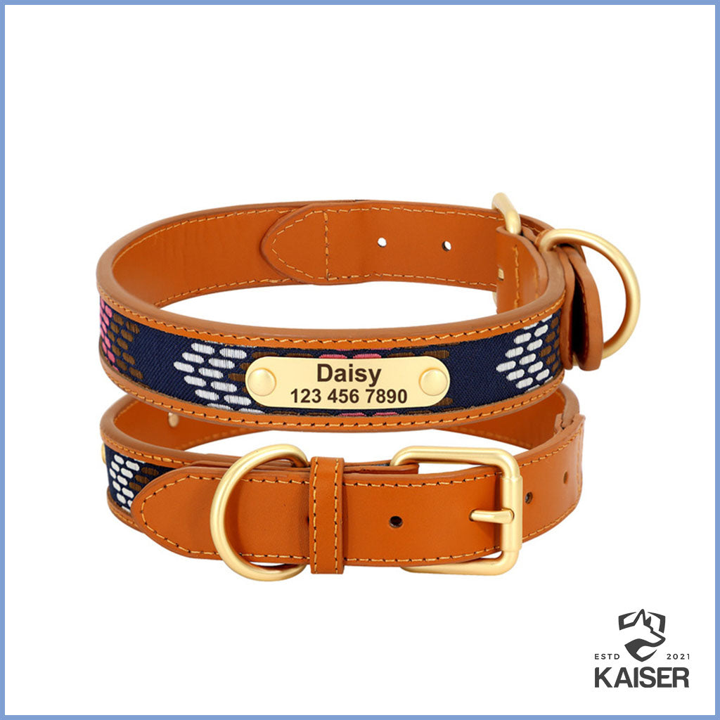 buntes Hundehalsband mit Namensschild