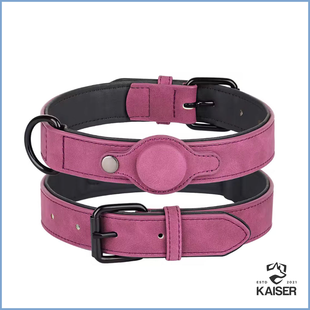 Gps Hundehalsband Lila