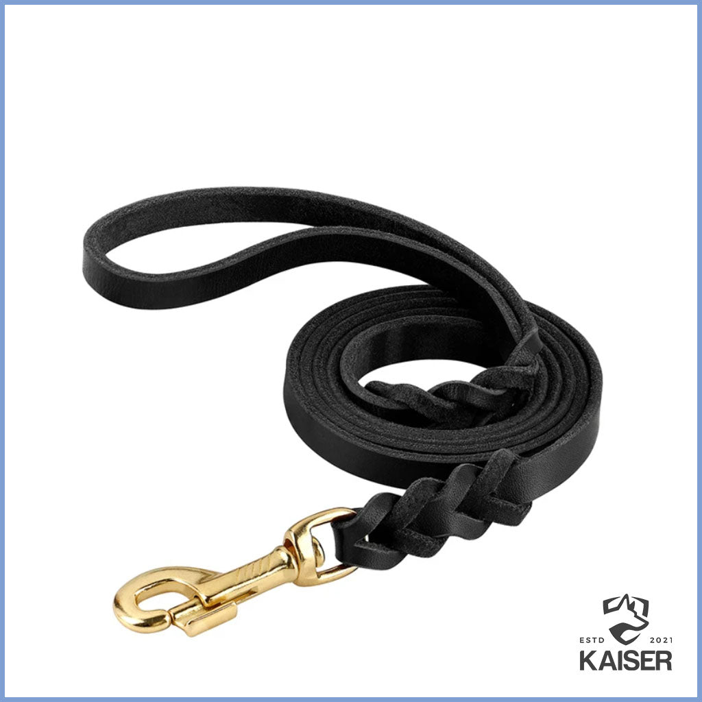 Geflochtene Hundeleine Leder schwarz