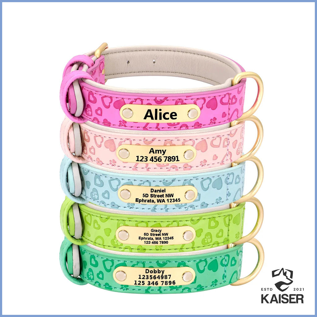 Hundehalsbänder gepolstert aus Leder mit Namen