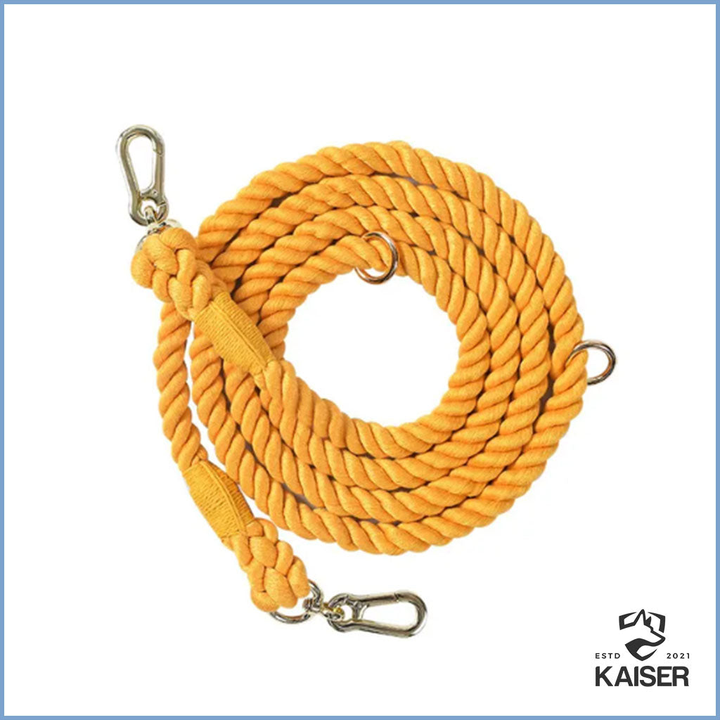 Handfreie Hundeleine Orange