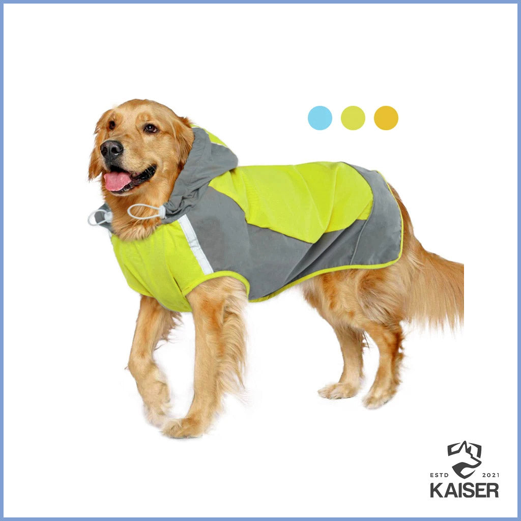 Regenjacke für Hunde mit Kapuze online kaufen