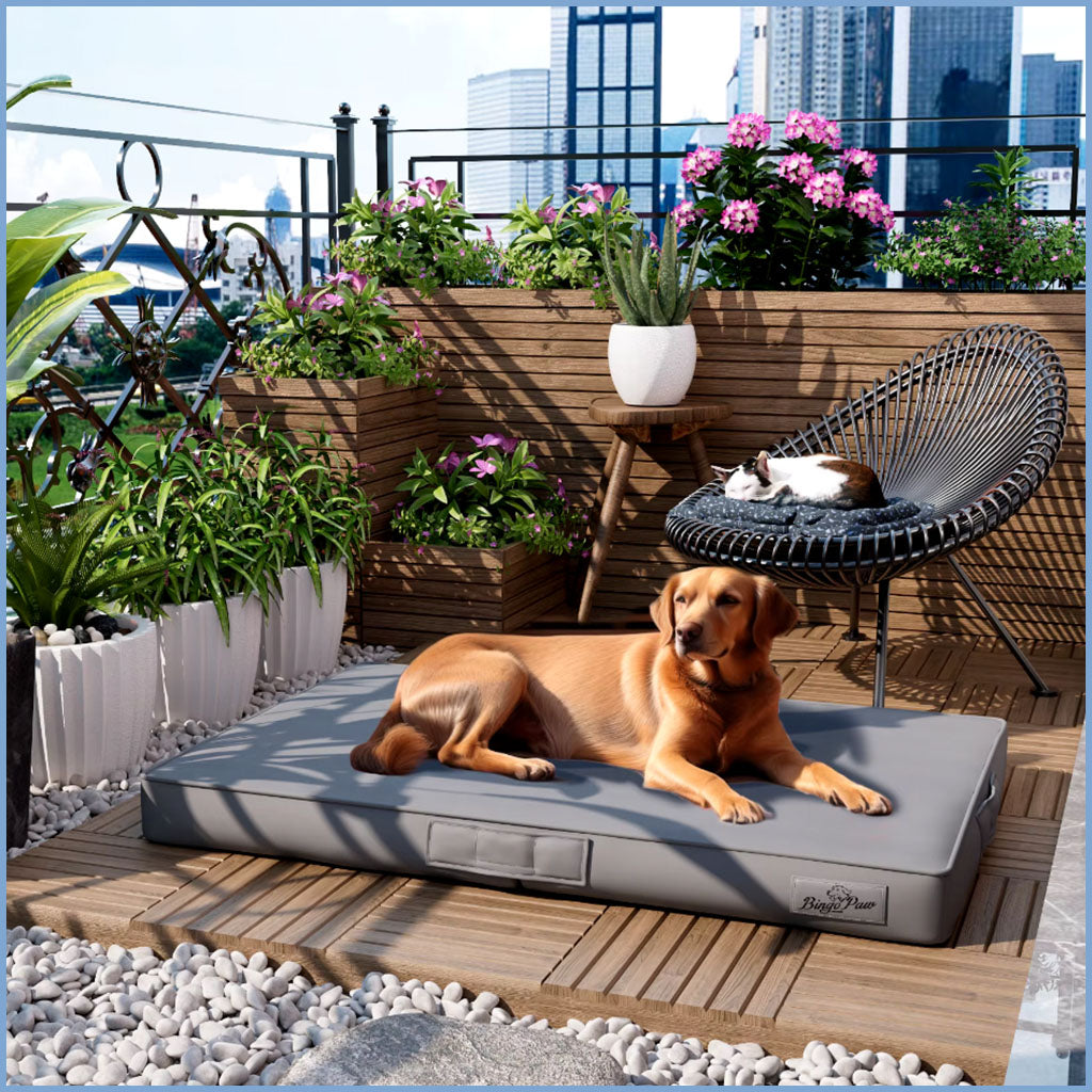 Hundebett Leder XXL grau