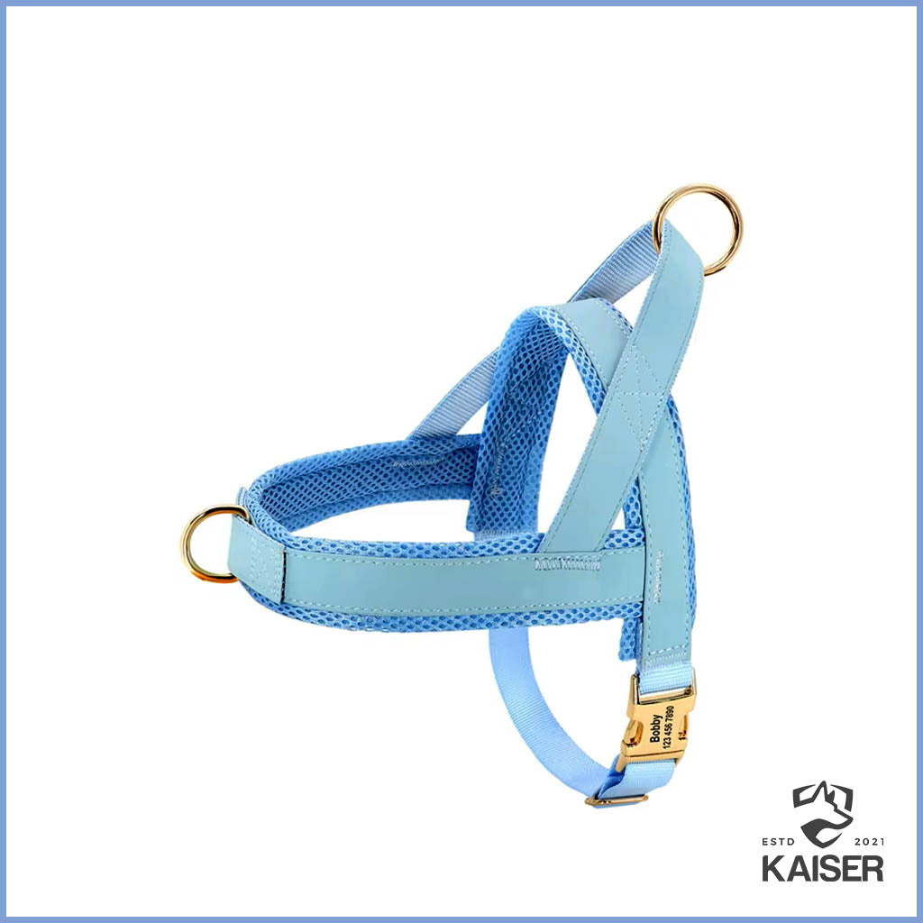 Hundegeschirr personalisiert blau