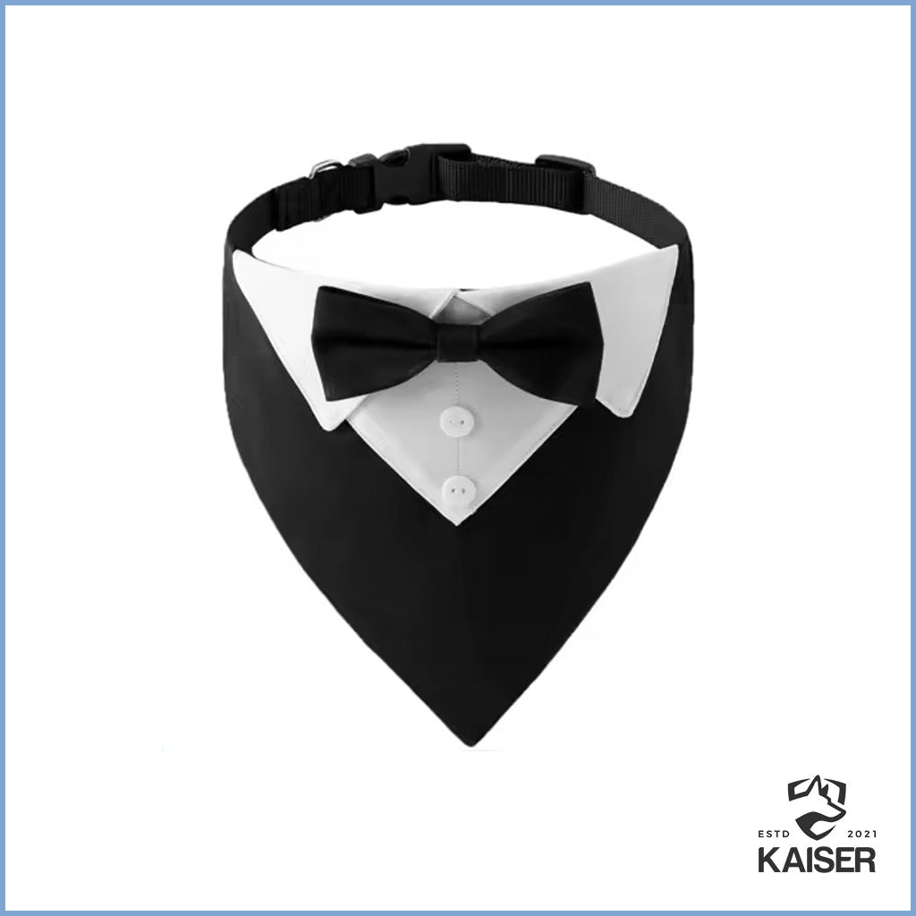 Hundehalsband für Hochzeit