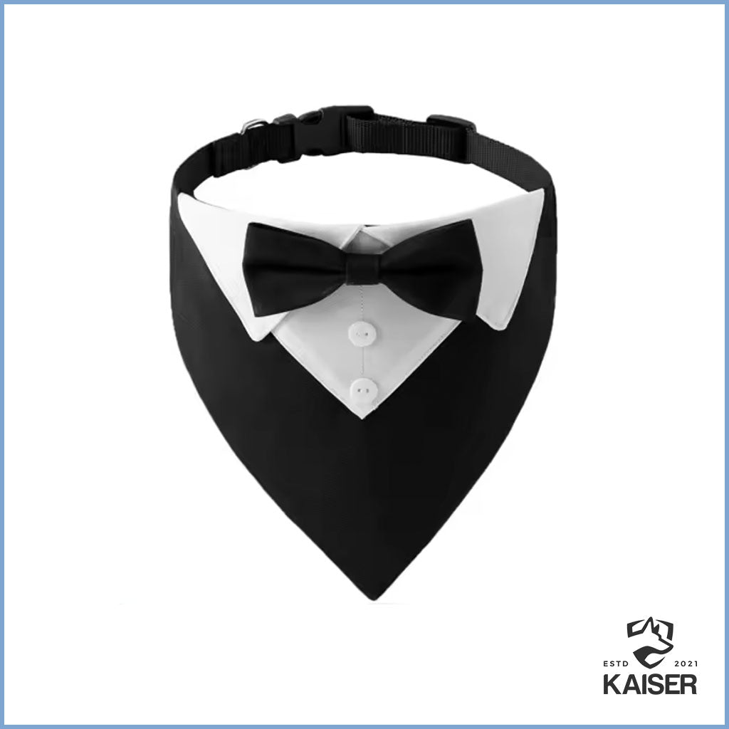 Hundehalsband Hochzeit
