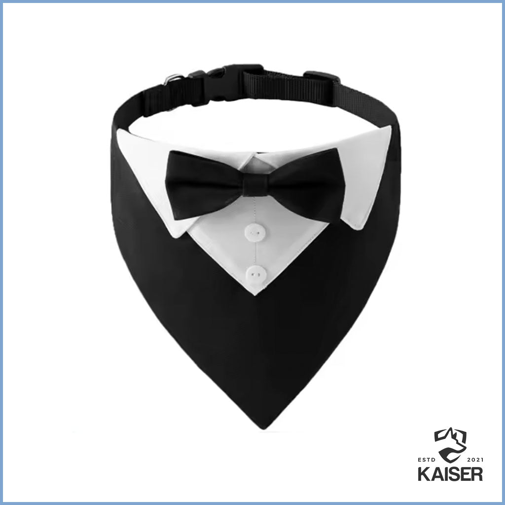 Hochzeit Hundehalsband