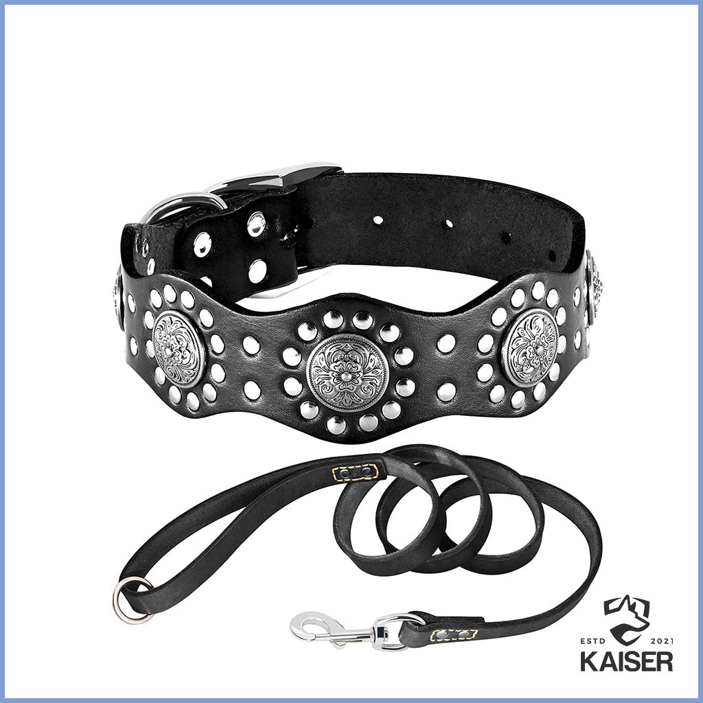 Hundehalsband und Leine Set