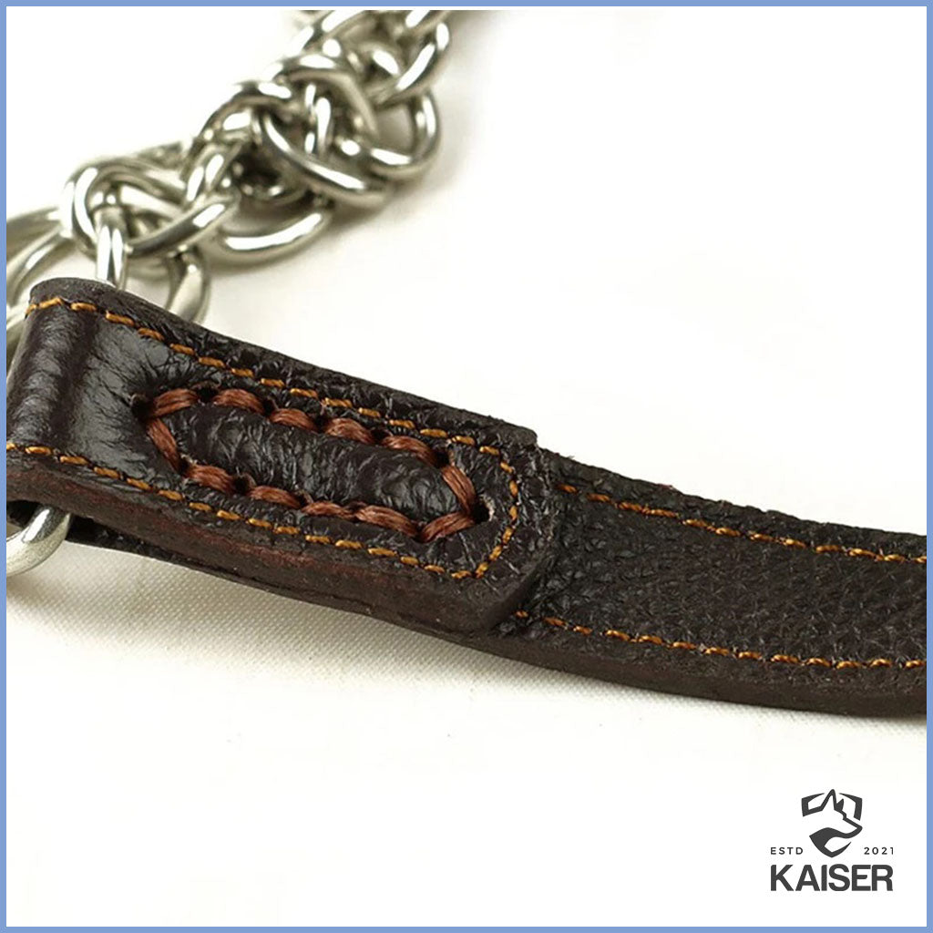 Hundehalsband aus Leder mit Zugstopp Kette Nahaufnahme