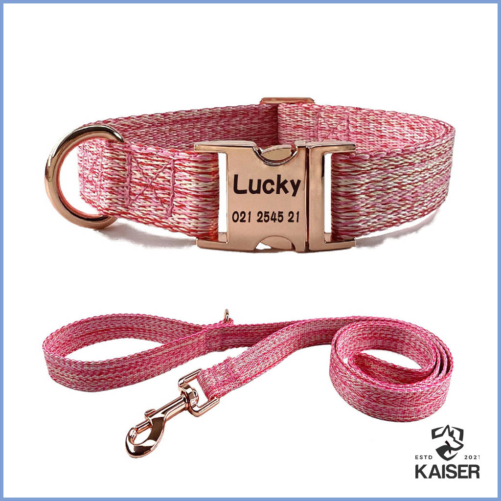 Hundehalsband mit Leine