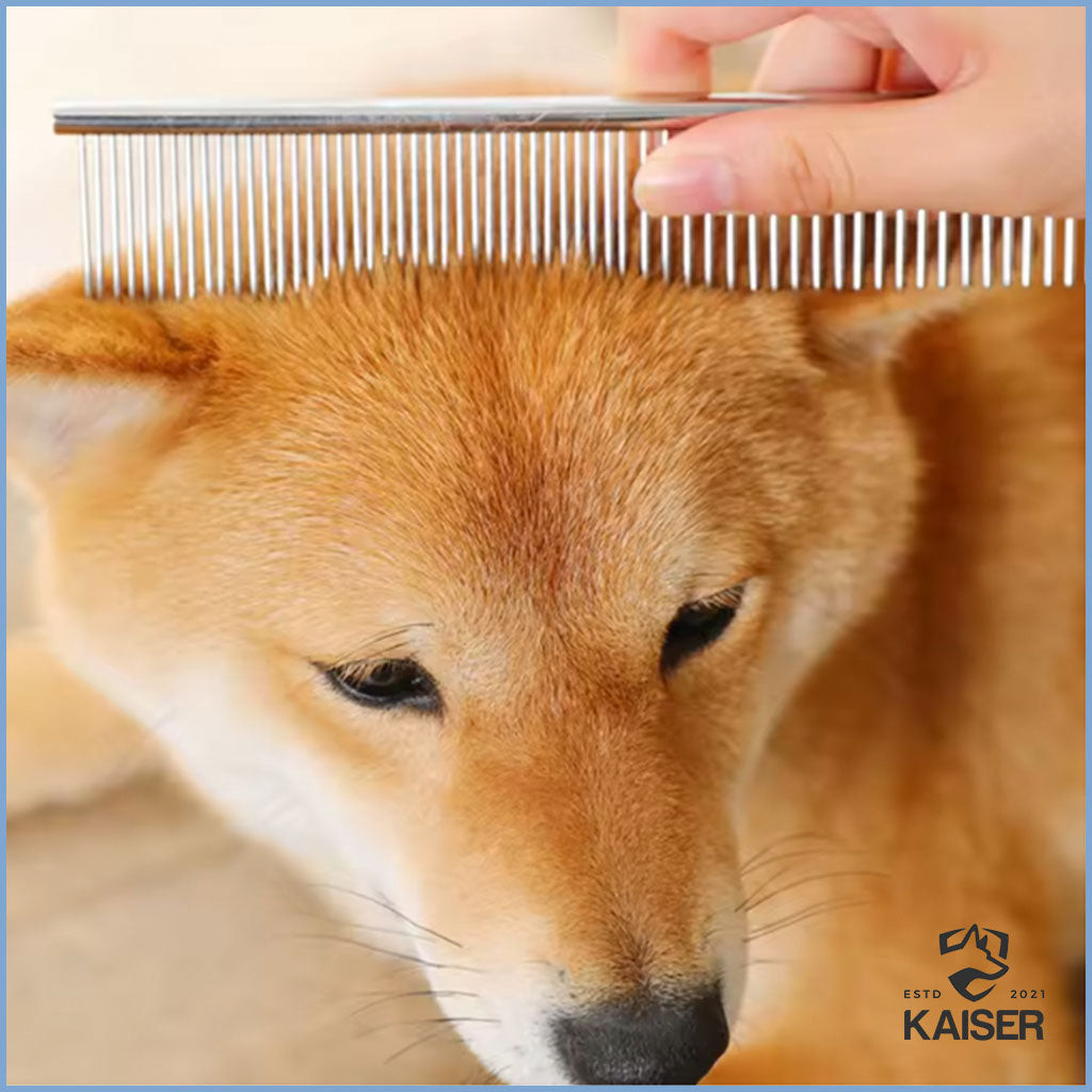 hund kamm
