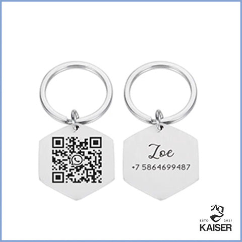 Hundemarke mit QR Code und name silber