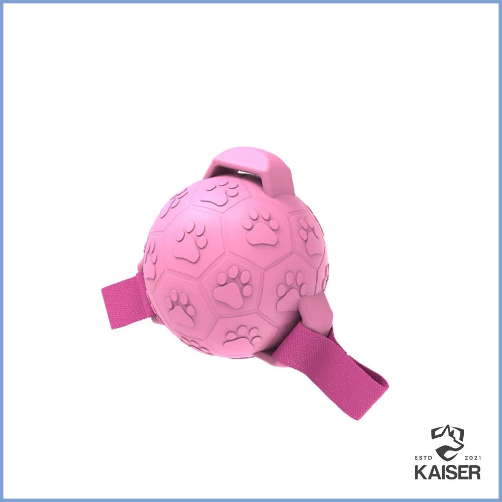 Wasserspielzeug für Hunde