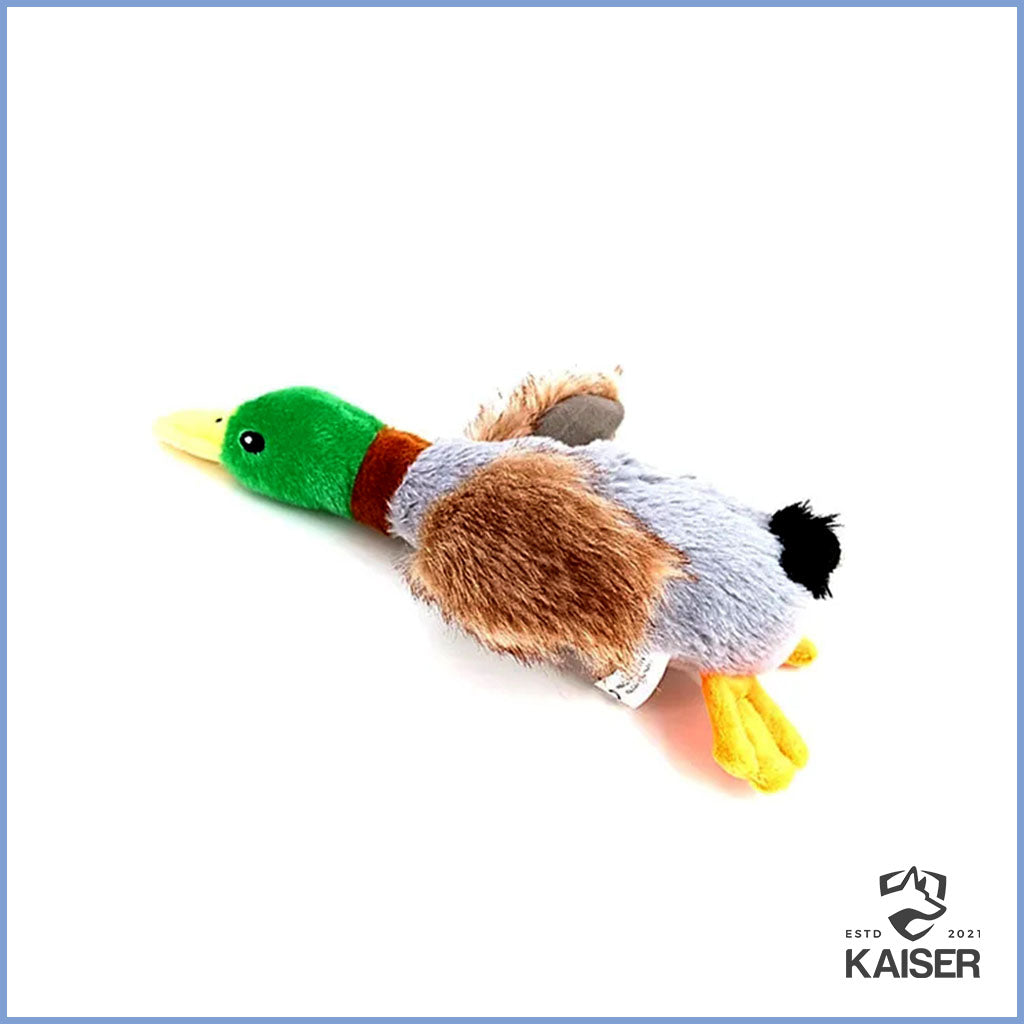 Hundespielzeug Ente