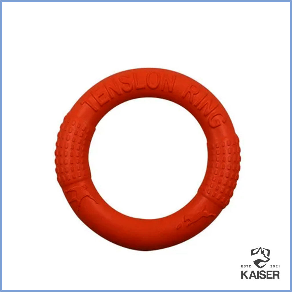 ring hund spielzeug