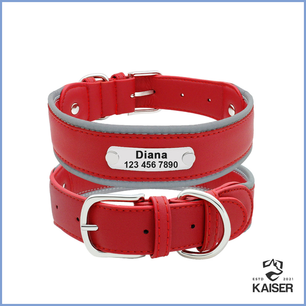 Hundehalsband rot mit Namen