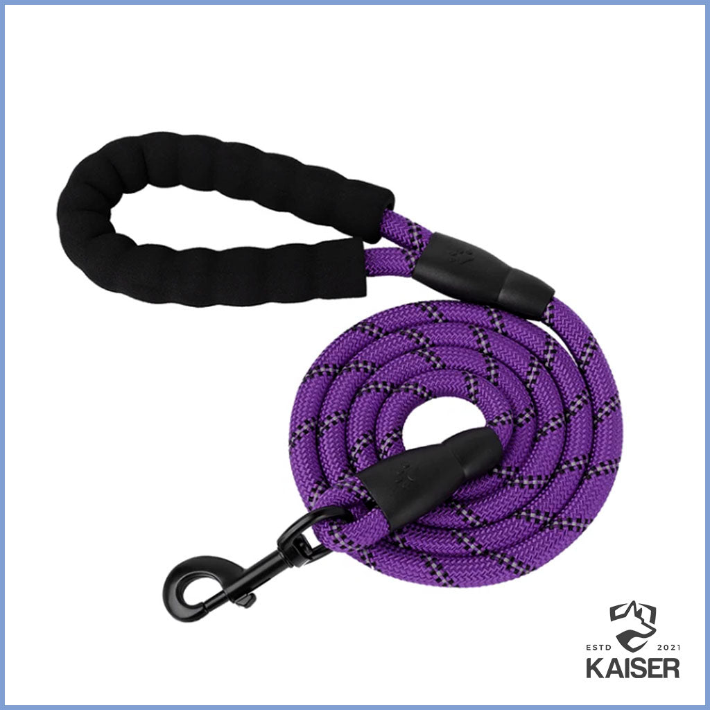 Lila Hundeleine mit reflektierenden Streifen