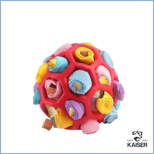 Schnüffelball Hunde