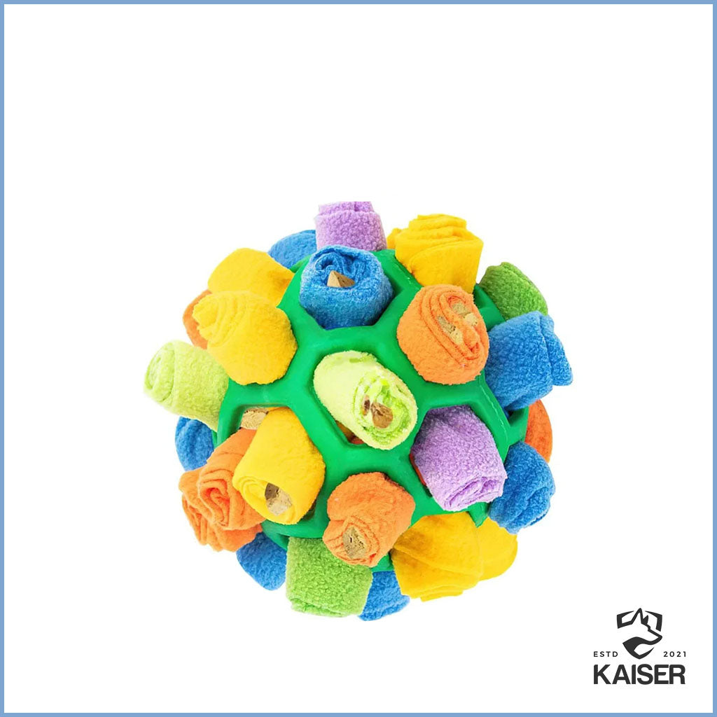 Schnüffelball Hunde grün